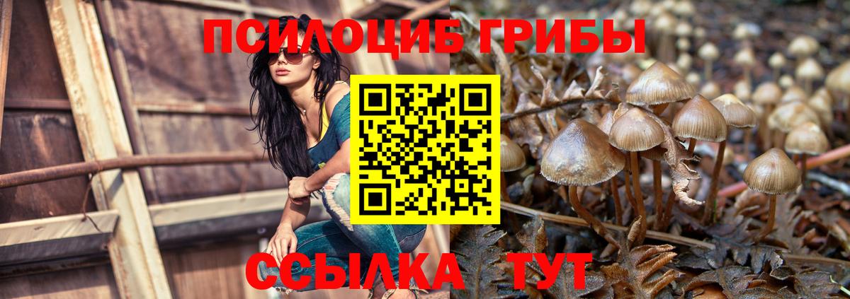 Псилоцибиновые грибы Psilocybine cubensis Улан-Удэ